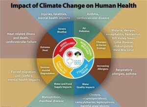 The Impact of Seasonal Change on Rare Disease 