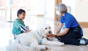 Pets can help us heal 