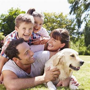 Pets can help us heal 