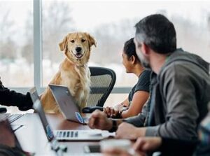 Pets can help us heal 