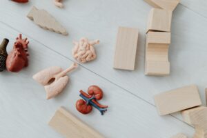 Technology and Health