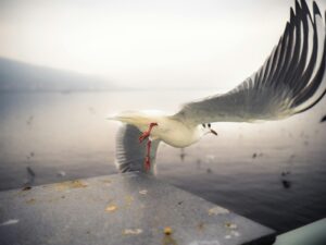 Take Off
